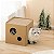Casa Arranhador de Papelão para Gatos - Imagem 15