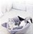 Cama toca para gatos Booteely - Imagem 6