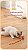 Bola Autorrolante Interativa para Gatos - Imagem 13