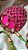 Pitaya & Menta - Dualidades Tropicais SL Luxury Beachwear - Imagem 6