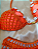 Intense Coral - Coleção Essência do Mar SL Luxury Beachwear - Imagem 6