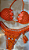 Intense Coral - Coleção Essência do Mar SL Luxury Beachwear - Imagem 3