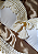 Conjunto La Perla Resort Couture - Champanhe | SL Luxury Beachwear - Imagem 5
