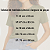 Blusa Verde Oliva Lisa Básica Feminina Algodão - Imagem 2