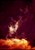 GODS OF SKY - ODIN INFERNO - Imagem 1