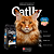 Catlly Gatos Adulto Peixe 1 Kg - Imagem 3
