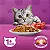 Whiskas Gatos Carne 10,1kg - Imagem 5