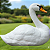 Forma Cofre CISNE 1266 - Imagem 7