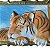 Quadro do Tigre 54x41cm Ref.1231 - Imagem 2