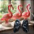 Forma Mini Flamingo bipartido - Imagem 2