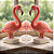 Forma Mini Flamingo bipartido - Imagem 6
