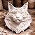 FORMA DO QUADRO GATO MAINE COON REF 89 - Imagem 5