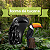 forma do tucano no troco - Imagem 2