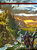 Castles & Crusades: Muralha do Guardião - Imagem 4