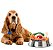 Suplemento para Cães Sênior 500g Nutroplus - Imagem 5