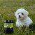 Nutroplus Primus Crescimento Suplemento para Cães Filhotes 500g - Nutroplus - Imagem 2