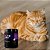 Suplemento para Gatos 500g Nutroplus - Imagem 2
