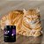 Kit 2 Suplementos para Gatos 100g Nutroplus - Imagem 4