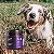Suplemento para Cães Adultos Primus Zero Fósforo 500g Nutroplus - Imagem 2