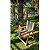 Kit - 2 Cadeira De Madeira - Arco-íris - Imagem 2
