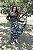 Blusa Tule Borboleta - PRETO - Imagem 5