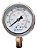 Manômetro Com Glicerina Vertical 63mm 1/4 160 Bar 2300 Psi - Imagem 1