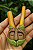 Kuripe Protetor de Gaia - Autoaplicador - Curipe - Imagem 2