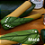Kit Kuripe Folhas + Rapé Indígena - Imagem 2