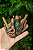 Kit Kuripe Jibóia + Rapé Indígena - Imagem 2