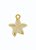 Pingente Estrela do Mar - Imagem 2