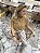 Choker Pirita Stone - Imagem 5