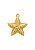 Pingente Estrela do Mar M - Imagem 1