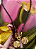 Pingente Love - Imagem 2