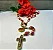 Terço De Rosas Santa Teresinha E N. Sra Do Sorriso Relicário - Imagem 8