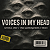 Voices In My Head - Anyma, Argy, Son of Son (Yago Lourenço Remix) - Imagem 1