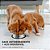 Comedouro Pet Inox 900ml ELG, Tigela Antiderrapante para Cães e Gatos, Aço Inoxidável Resistente, Prata - Imagem 5