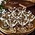 Taças de Licor Baccarat - Elegância Francesa em Cristal Lapidado - Imagem 12