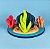 Meu Coral - Imagem 3