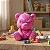 Meu Urso Resmungão - Imagem 2