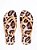 Chinelo Petite Jolie Estampado Animal Print - Imagem 1
