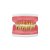 Refil Top Cirurgia com Dentes de Periodontia AC 025 - PRONEW - Imagem 1