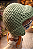 Apostila Digital PDF boneco chaves - Imagem 4