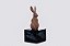 COELHO COM BASE - Imagem 2