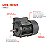 Motor elétrico Lepono 1106 1cv 2 pólos bifásico - Imagem 2