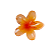 Presilha De Cabelo Flor Estilo Havaiano Piranha Flor Do Campo Grampo De Garra de Cabelo 4 cm - Imagem 4