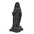 Imagem de Gesso Nossa Senhora Aparecida Preta 20cm com Coroa Manto e Broche - Facssimile - Imagem 2