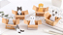Sticky Note Gatinho na Caixa - Imagem 2