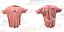 Camiseta ( TAMANHO G6 ) Powerlifting - Azul Rosa - Imagem 2