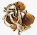 Psilocybe Cubensis (1g) - Imagem 2
