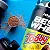 Best Whey Protein Achocolatado Toddy 900g - Imagem 4